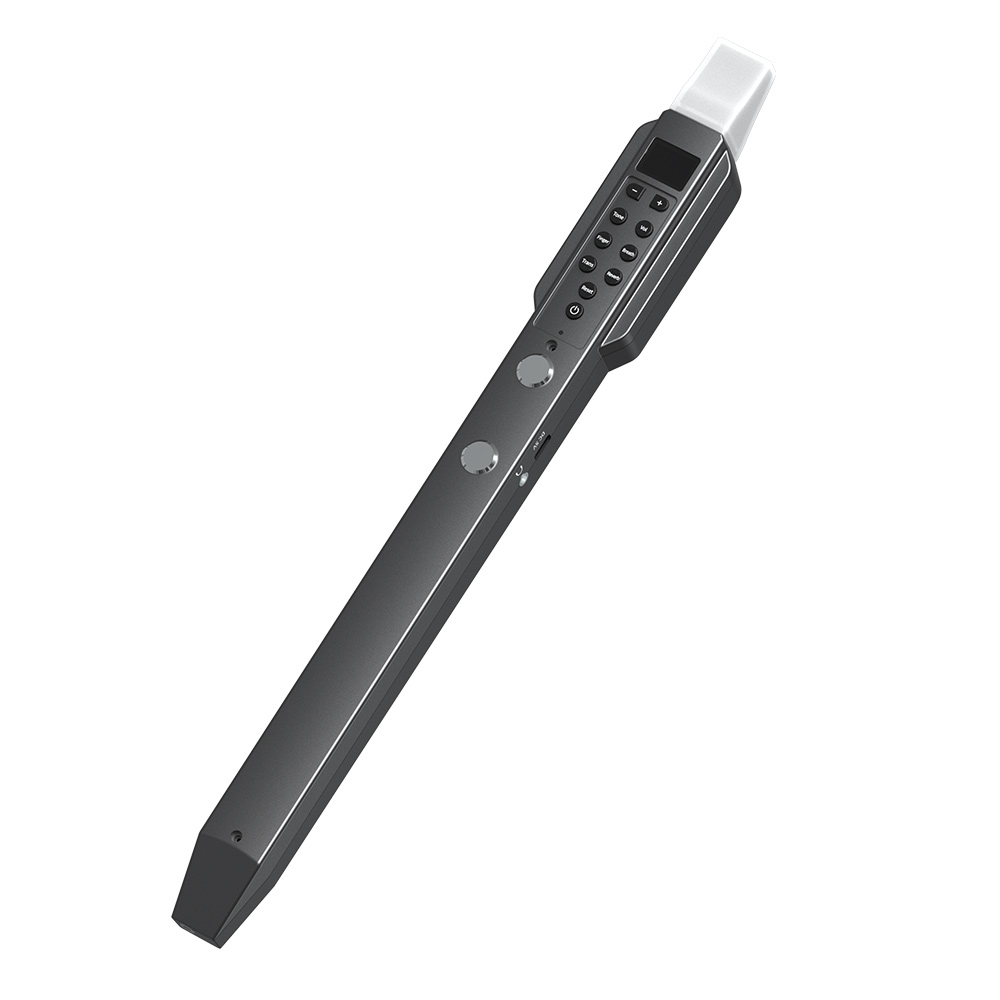 Musical Instrument A Recorder - مزمار صغير عرضي للرياح الإلكترونية مزمار